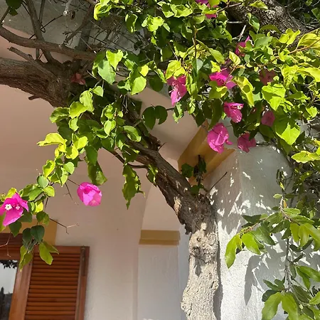 Casa Hermosa Bed & Breakfast